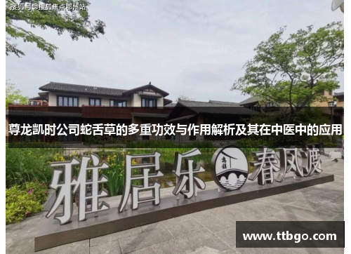 尊龙凯时公司蛇舌草的多重功效与作用解析及其在中医中的应用