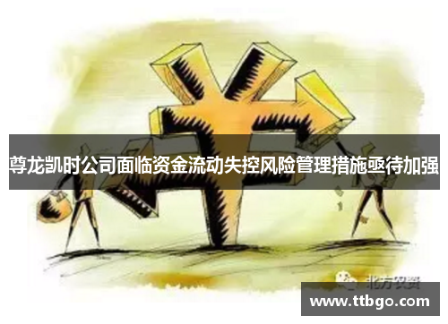 尊龙凯时公司面临资金流动失控风险管理措施亟待加强 尊龙凯时公司面临资金流动失控风险管理措施亟待加强
